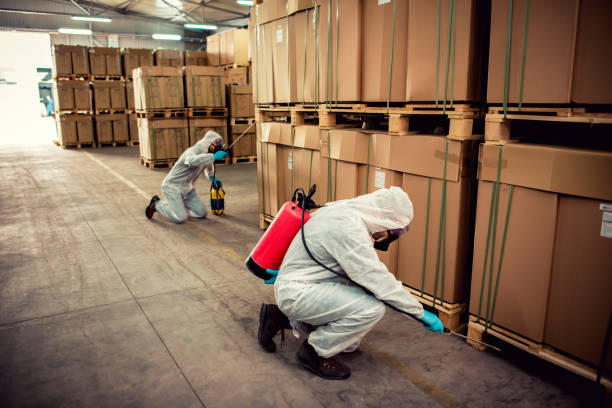 Best Residential Pest Control  in Manhattan Beach, CA