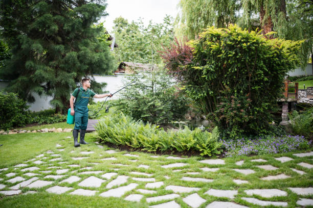 Best Local Pest Control Services  in Manhattan Beach, CA