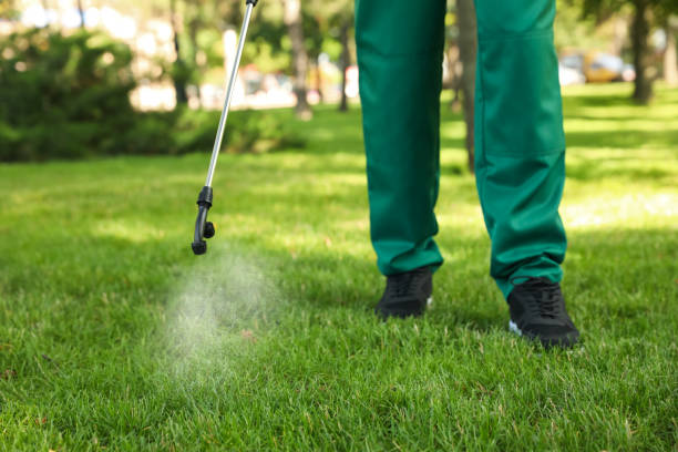 Best Wasp Removal Services  in Manhattan Beach, CA