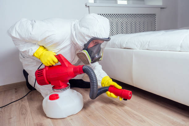 Best Local Pest Control Services  in Manhattan Beach, CA
